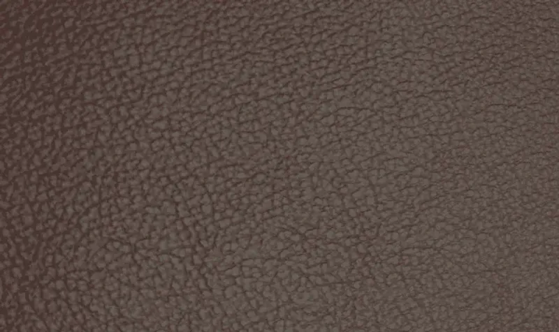 Skinn Sierra Kelato Mocca